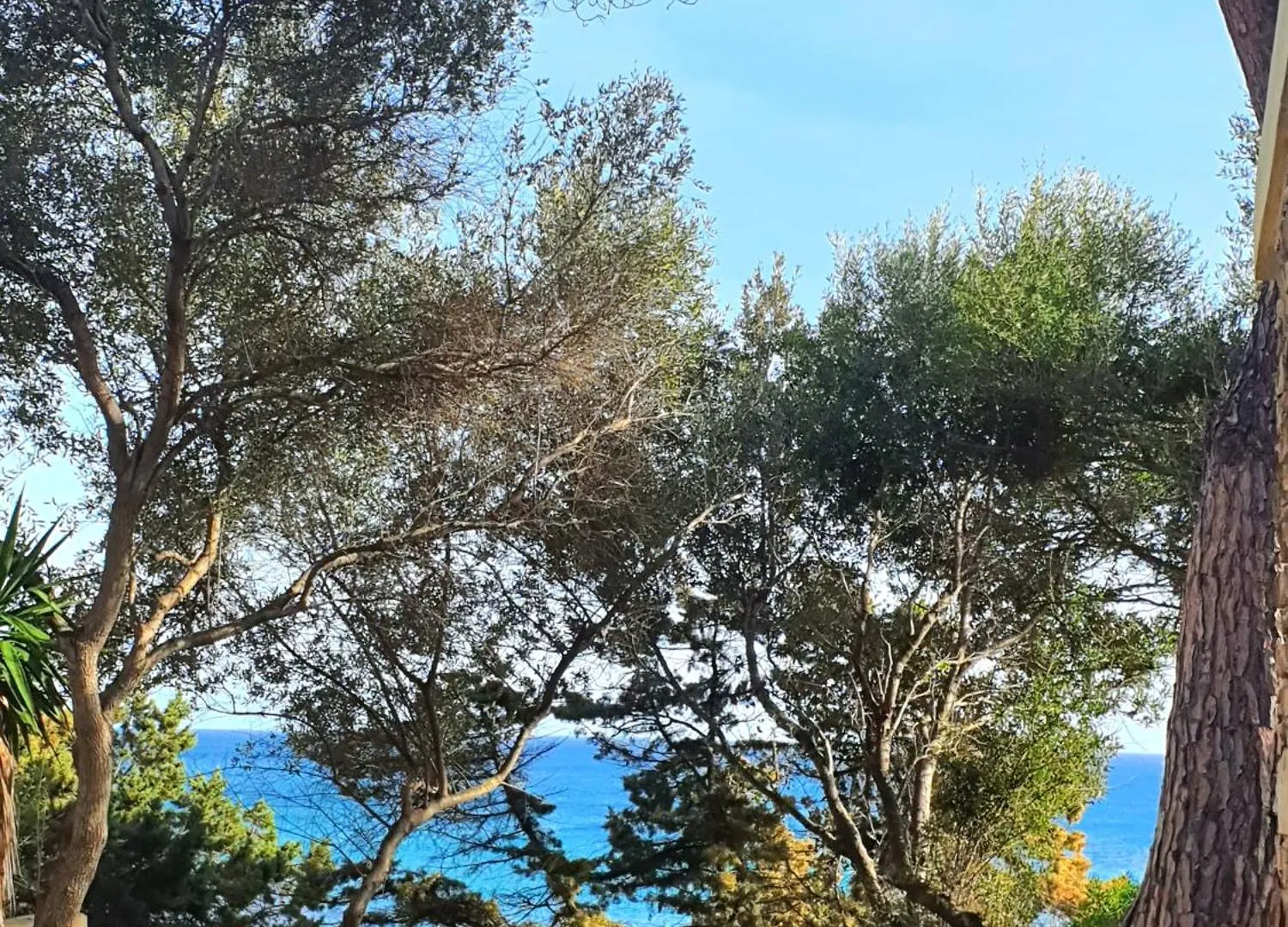 Villa Papiyon - Accesso Privato Alla Spiaggia Cala Liberotto